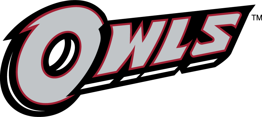 Temple Owls 2014-2020 Wordmark Logo v4 iron on transfers for T-shirts